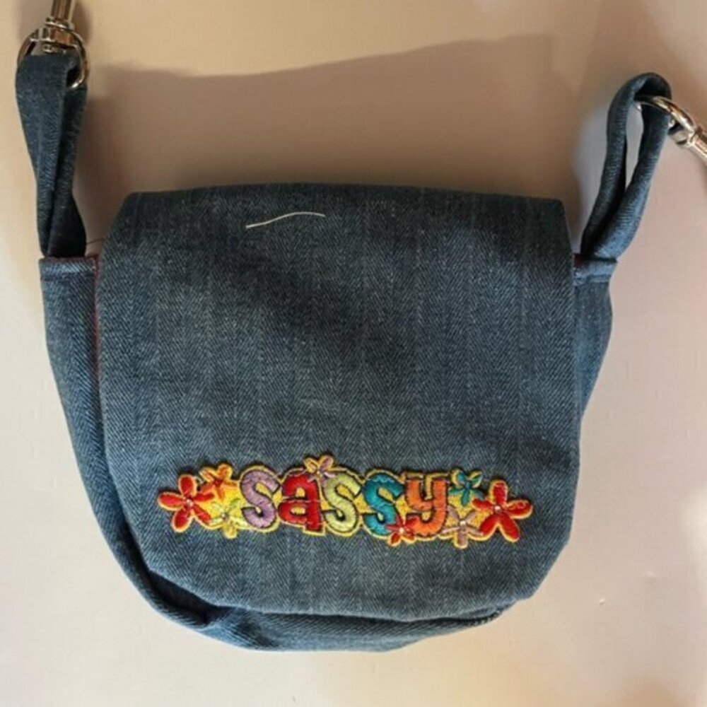 Sassy Belt Purse